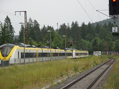 Der Zug aus Richtunf Titisee Neustadt nach Freiburg ist eingetroffen