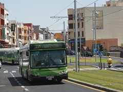 Busse sind das zweite Standbein des PNV auf Teneriffa