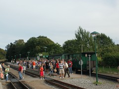 Nur jeder zweite Zug fährt bis Putbus, da das höchste Fahrastaufkommen zwischne Binz und Göhren besteht.