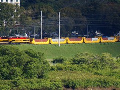 Die Panama Canal Railway befördert vornehmlich Blechkisten