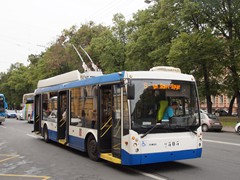 Trolza-5265