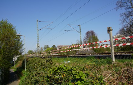 Auf dieser Seite des Damms in Eschersheim passiert wohl nicht viel