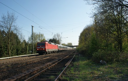 Blick Richtung Bockenheim im Jahr 2010. Das Überholgleis liegt noch, rechts im Gestrüpp ist auch noch das Abstellgleis zu erkennen.