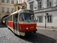 ...Wagen 8338 der Linie 20