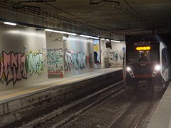 Hier kommt der Zug, der uns zurück nach Gabrialdi bringt.