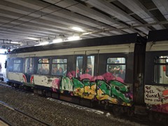 Nicht wenige Züge erhielten eine "künstlerische Gestaltung"