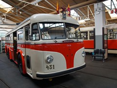 ...O-Busse