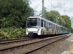 neu