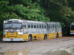 Bus mit Knick