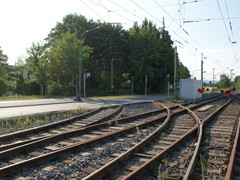 2015