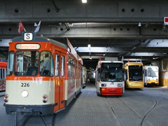 alleTypen