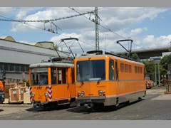 Zwei Arbeitstiere.