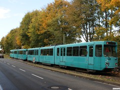 Ein weiterer Schleppverband , dem das Herbstlaub zu schaffen macht...