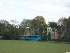 Der nächste Schlepp-Verband durch die Felder auf dem Weg zur Stzw.