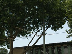 Oberleitung