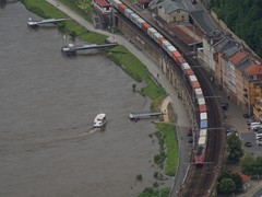 Unbekannte Rote bei Königstein / Elbe