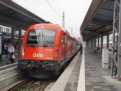 Ein Stier im Holzkirchner Bahnhof