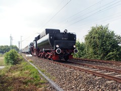 Tender vorraus in den Taunus