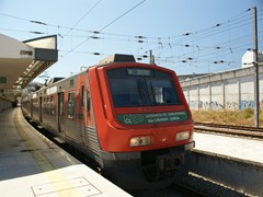 Rot CP