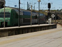 Grüne Linie
