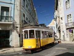 Lnie 28