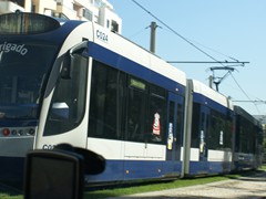 Sichtung in Almada