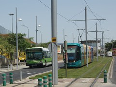 nach El Cardonal um mit der Linie 1 ....