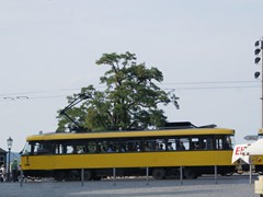 Tatra 4xGrTwER 224 247 auf der Brücke über die Elbe