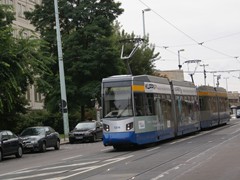 NGT6WL Leoliner