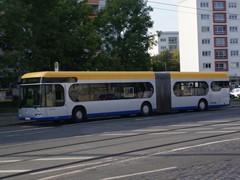 DesignerCitaro O530G von Mercedes-Benz 