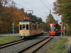 Kreuzung