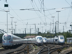 Schlangennnest in der Abstellgruppe F-Griesheim