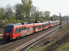 Hamserbacke unterwegs Richtung Friedberg