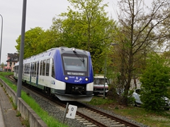 Ein I Lint kommt aus Königstein, in Höchst
