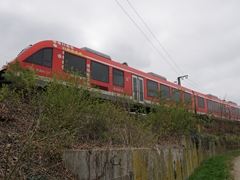 Leihgabe aus Schleswig Holstein in F-Höchst