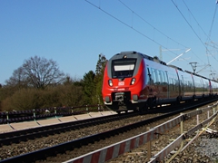 Ein Hamster unterwegs