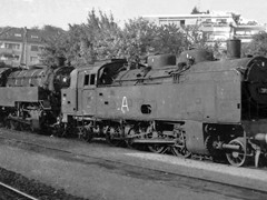 Lok 261