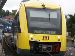 Lint in Köngstein