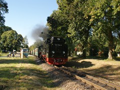Dieser Zug wendet in Binz.