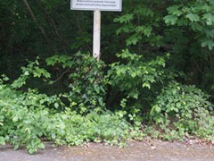 Dieses Schild ist seit 2014 reine Makulatur. Nie wieder wird dort ein Schienenfahrzeug ankommen. Denn... 