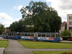 Der P Zug am Karolinenplatz