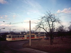 In Berkersheim